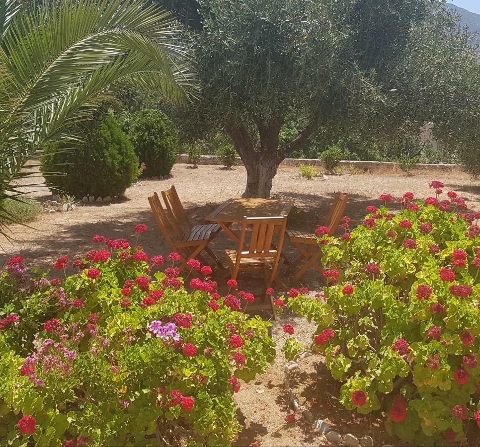 Tilos Fantasy Livadia  Buitenkant foto